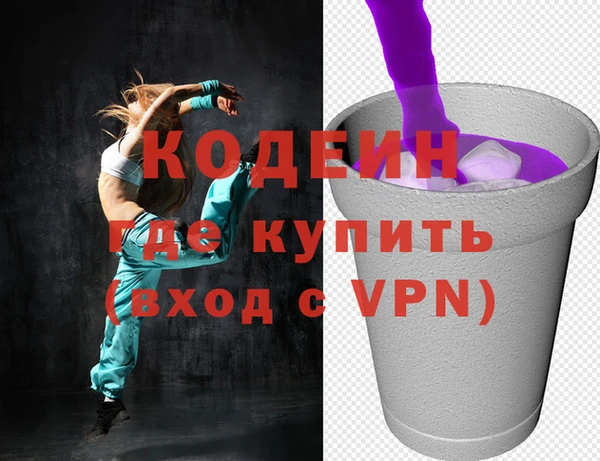 гашик Гусев