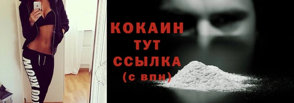 гашик Гусев