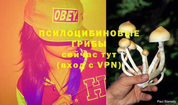 бутират Горно-Алтайск