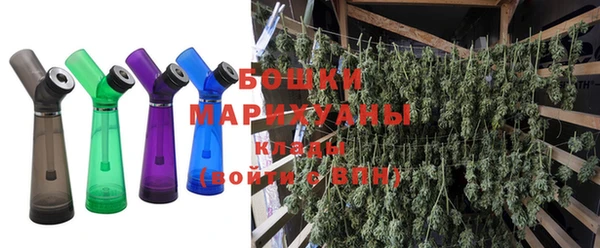 гашик Гусев