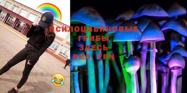 гашик Гусев