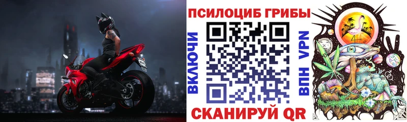 Псилоцибиновые грибы GOLDEN TEACHER  ссылка на мегу маркетплейс  Чита  где купить  